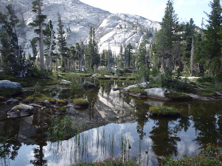 pond reflection along the Bayview Trail