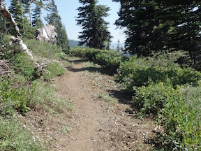PCT trail after