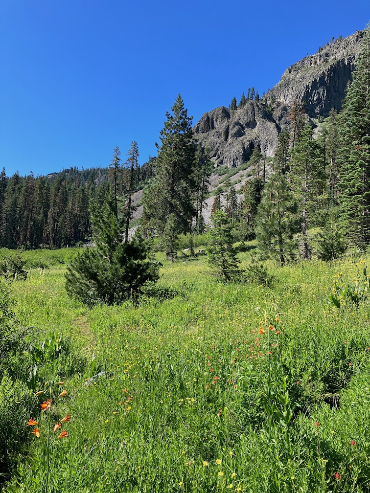 palisades meadow and palisades in Powderhorn Canyon