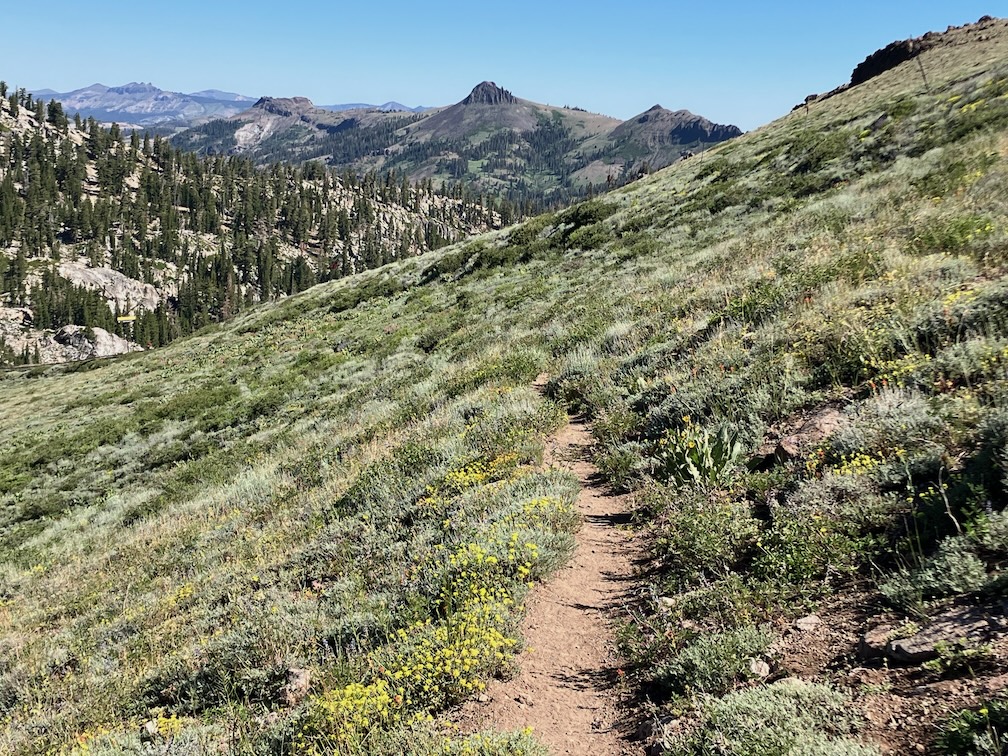 photo of trail and crest to the north