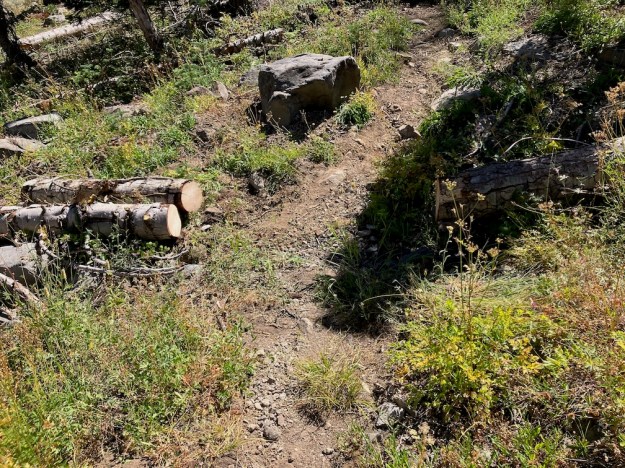 photo of down tree cut on Powderhorn Trail