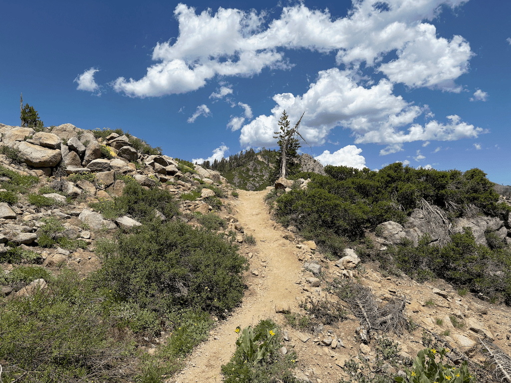 photo of Western States Trail (Olympic Valley) in Tahoe Palisades