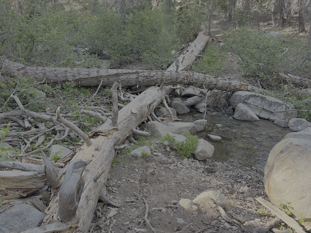 photo of down trees at Whiskey Creek crossing