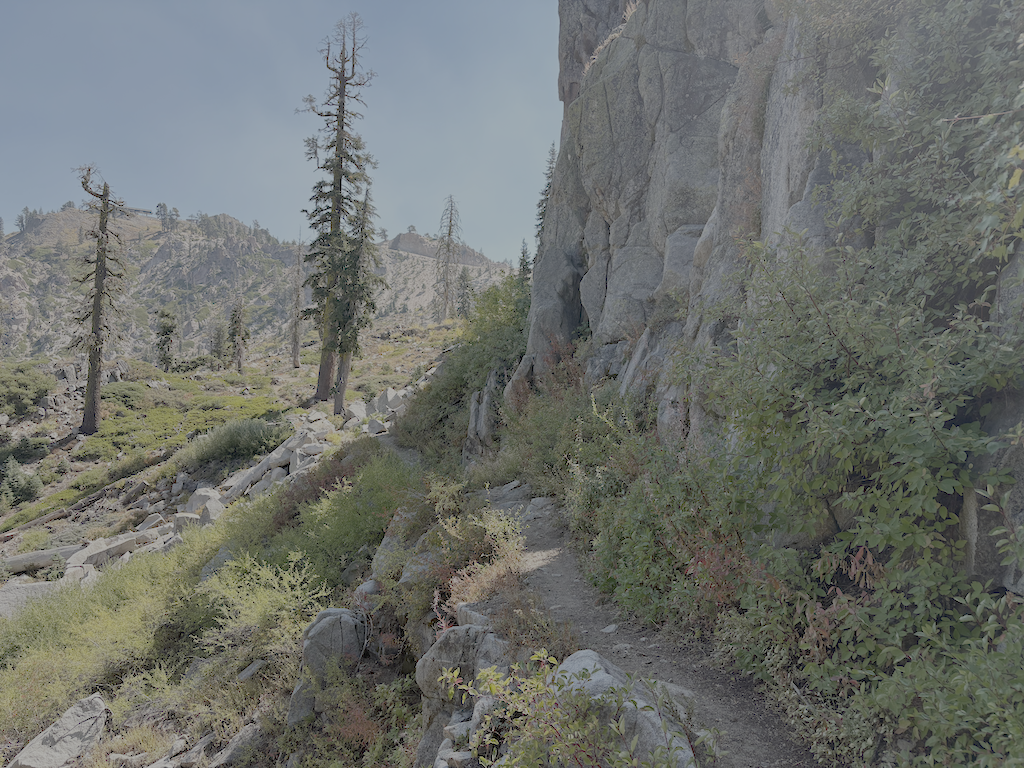 photo of Western States Trail in Olympic Valley